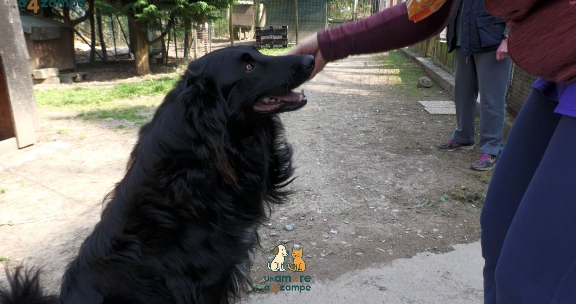 Gorzone e Lozio, l'amore per gli amici a 4 zampe raddoppia